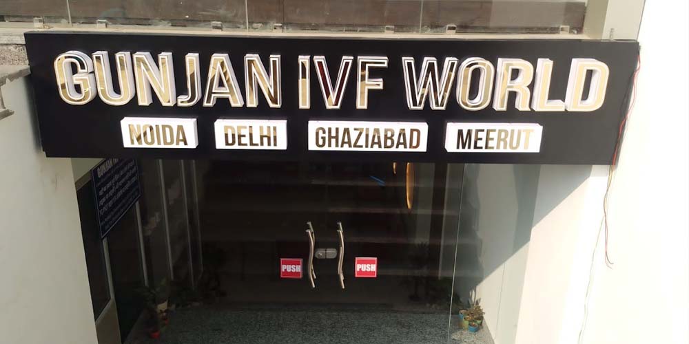 Gunjan ivf