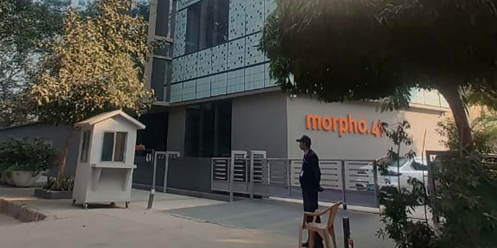 Morphogenesis
